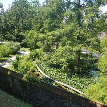 Lucca botanical gardens
